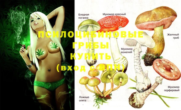 винт Гусев