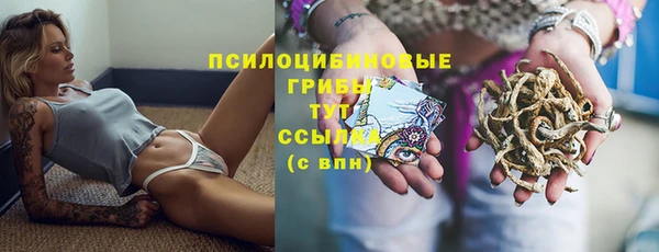 винт Гусев