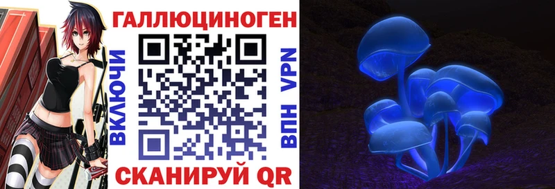 Купить  Новодвинск  Галлюциногенные грибы мицелий 